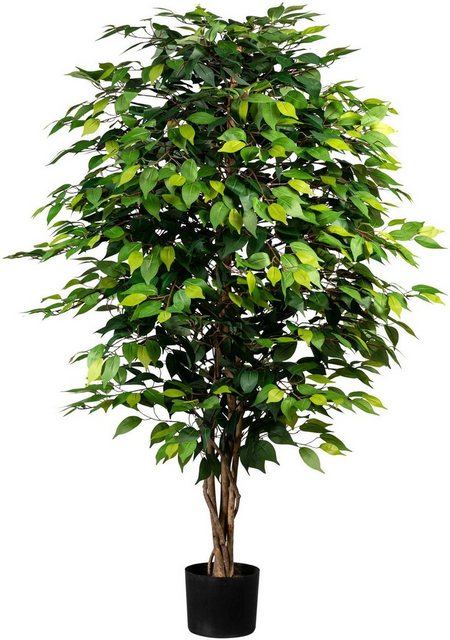 Kunstpflanze »Ficus Benjamini«, Creativ green, Höhe 150 cm-Kunstpflanzen-Inspirationen
