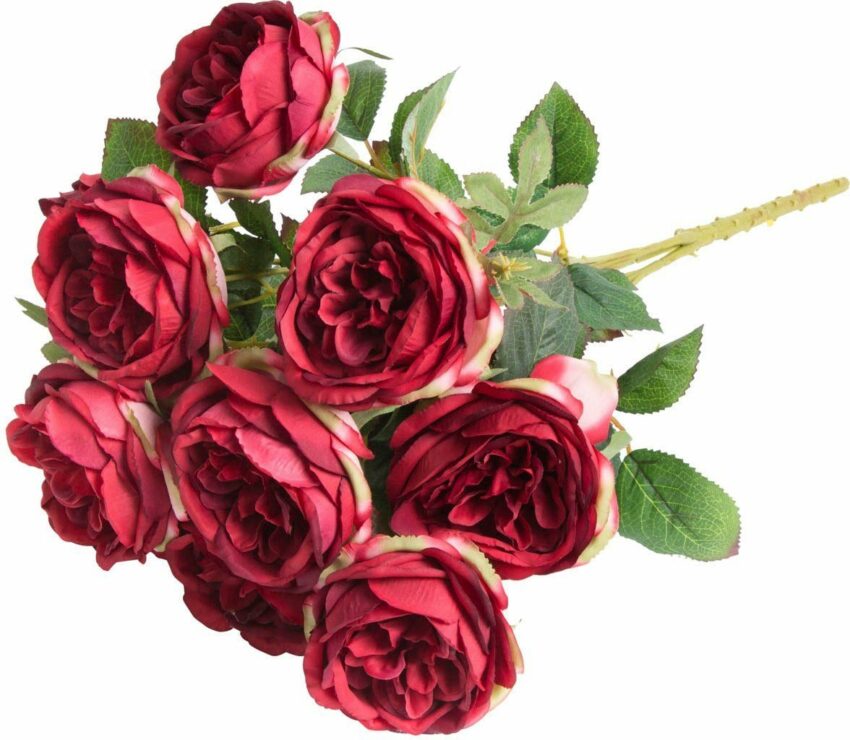 Kunstblume »Englischer Rosenbusch« Rose, Botanic-Haus, Höhe 46 cm-Kunstpflanzen-Ideen für dein Zuhause von Home Trends