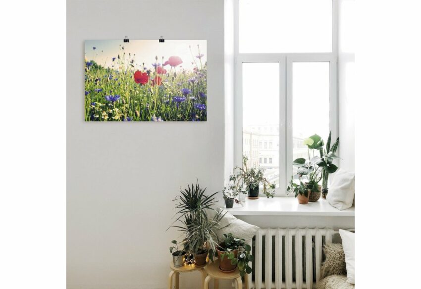 Artland Wandbild »Mohnblume im Feld«, Blumen (1 Stück), in vielen Größen & Produktarten - Alubild / Outdoorbild für den Außenbereich, Leinwandbild, Poster, Wandaufkleber / Wandtattoo auch für Badezimmer geeignet-Bilder-Ideen für dein Zuhause von Home Trends