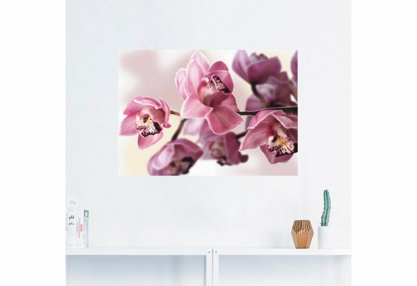 Artland Wandbild »Rosa Orchidee«, Blumenbilder (1 Stück), in vielen Größen & Produktarten - Alubild / Outdoorbild für den Außenbereich, Leinwandbild, Poster, Wandaufkleber / Wandtattoo auch für Badezimmer geeignet-Bilder-Ideen für dein Zuhause von Home Trends
