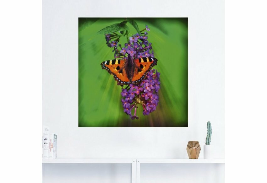 Artland Wandbild »Kleiner Fuchs im Sonnenstrahl«, Insekten (1 Stück), in vielen Größen & Produktarten - Alubild / Outdoorbild für den Außenbereich, Leinwandbild, Poster, Wandaufkleber / Wandtattoo auch für Badezimmer geeignet-Bilder-Ideen für dein Zuhause von Home Trends