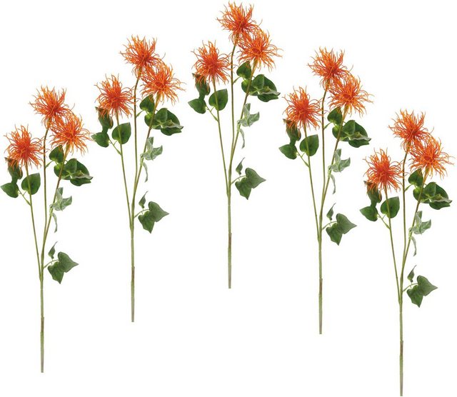 Kunstblume »Spinnenprotea«, I.GE.A., Höhe 78 cm, 5er Set-Kunstpflanzen-Inspirationen