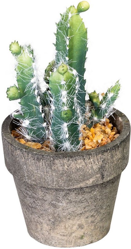 Kunstkaktus »Marian« Kaktus, my home, Höhe 10 cm, im Paperpot, 4er Set-Kunstpflanzen-Ideen für dein Zuhause von Home Trends