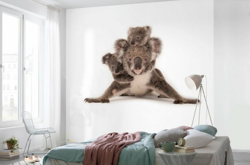 Komar Vliestapete »Koala«, glatt, bedruckt, realistisch, (6 St), 300 x 280 cm (Breite x Höhe) - 6 Bahnen-Tapeten-Ideen für dein Zuhause von Home Trends