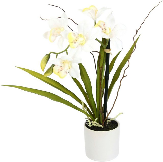 Kunstorchidee »Orchidee«, I.GE.A., Höhe 33 cm, im Keramiktopf-Kunstpflanzen-Inspirationen