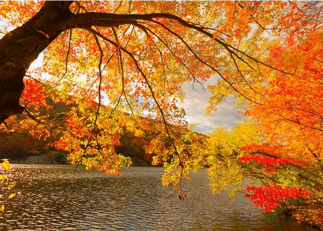 Papermoon Fototapete »Autumn Scenery«, glatt-Tapeten-Inspirationen