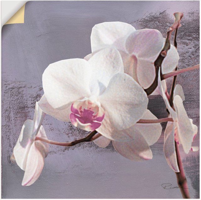 Artland Wandbild »Orchideen vor Violett I«, Blumen (1 Stück), in vielen Größen & Produktarten - Alubild / Outdoorbild für den Außenbereich, Leinwandbild, Poster, Wandaufkleber / Wandtattoo auch für Badezimmer geeignet-Bilder-Inspirationen