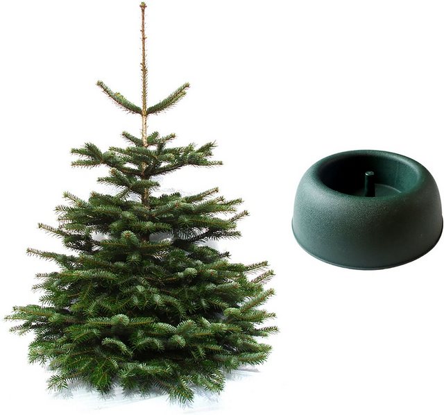 Weihnachtsbaumland Echter Weihnachtsbaum »Nordmanntanne inkl. Mini-Baumständer«, Nordmanntanne, Höhe ca. 100 bis 120 cm-Weihnachtsbäume-Inspirationen