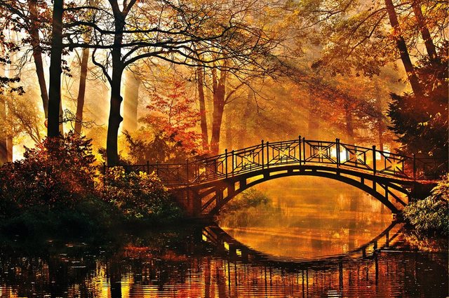 Papermoon Fototapete »Misty Park Bridge«, glatt-Tapeten-Inspirationen