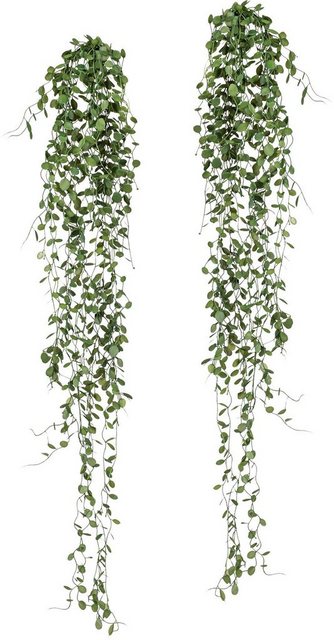 Kunstranke »Mühlenbeckia-Hänger« Mühlenbeckia, Creativ green, Höhe 80 cm, 2er Set-Kunstpflanzen-Inspirationen