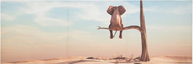 Spiegelprofi GmbH Leinwandbild »Lonely Elephant«, (1 Stück), hochwertiger Kunstdruck, bedruckte Seitenränder-Bilder-Inspirationen