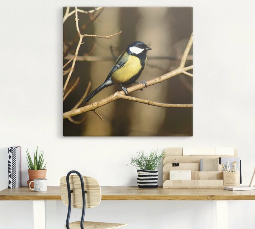 Artland Wandbild »Kohlmeise im Wald«, Vögel (1 Stück), in vielen Größen & Produktarten - Alubild / Outdoorbild für den Außenbereich, Leinwandbild, Poster, Wandaufkleber / Wandtattoo auch für Badezimmer geeignet-Bilder-Ideen für dein Zuhause von Home Trends