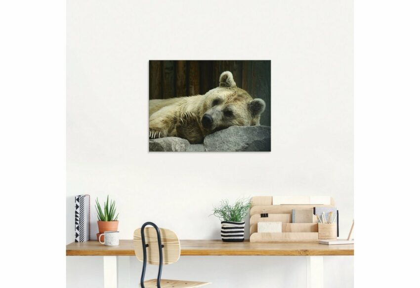 Artland Glasbild »Bär I«, Wildtiere (1 Stück)-Bilder-Ideen für dein Zuhause von Home Trends