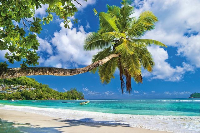 Papermoon Fototapete »Seychelles Palm Beach«, glatt-Tapeten-Inspirationen