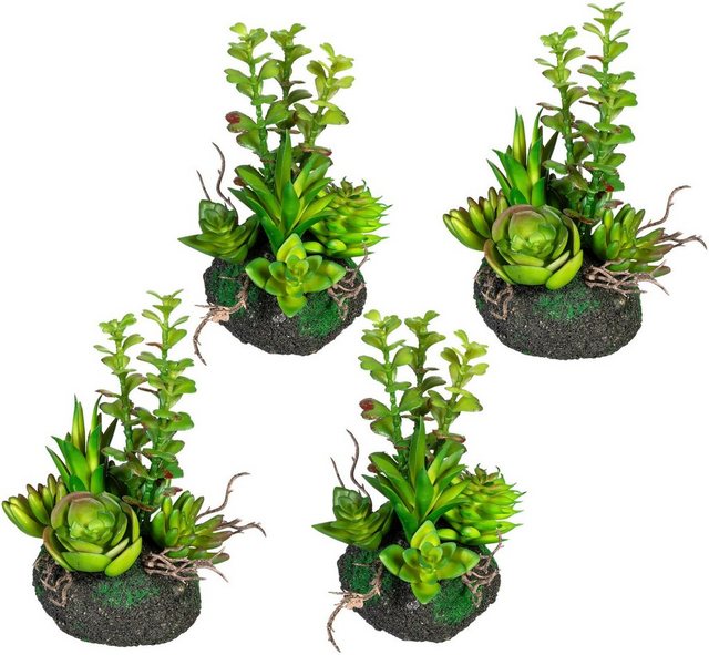 Künstliche Zimmerpflanze »Sukkulentenarrangement« Sukkulente, Creativ green, Höhe 16 cm, 4er Set-Kunstpflanzen-Inspirationen