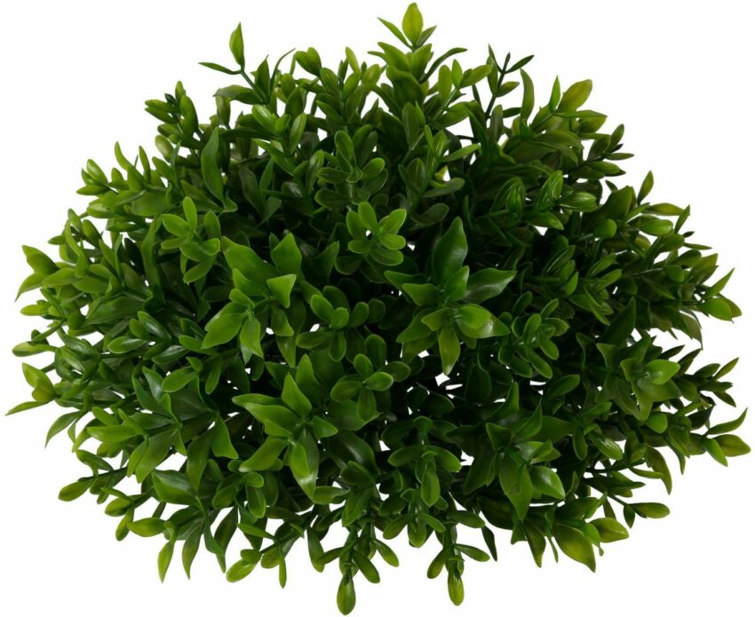 Kunstpflanze »Buchsbaumhalbkugel«, Creativ green, Höhe 10 cm, 3er Set-Kunstpflanzen-Ideen für dein Zuhause von Home Trends