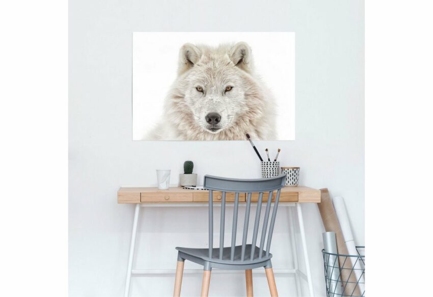 Reinders! Poster »Weisser Wolf«, (1 Stück)-Bilder-Ideen für dein Zuhause von Home Trends