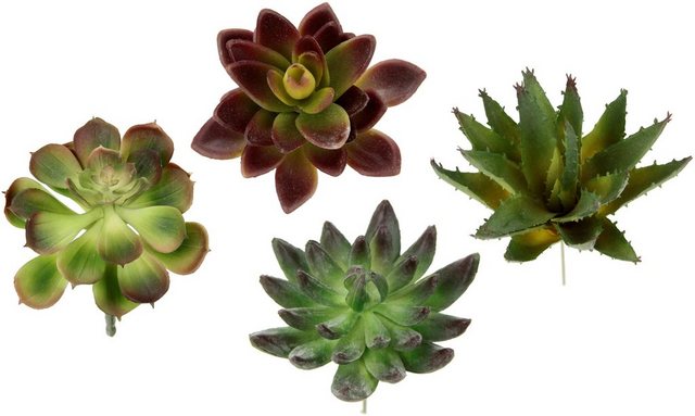 Kunstpflanze »Dekorative Sukkulenten«, I.GE.A., Höhe 16 cm, 4er Set, künstliche Pflanzen, Sukkulenten, Aloe, Agave, Kaktus-Kunstpflanzen-Inspirationen