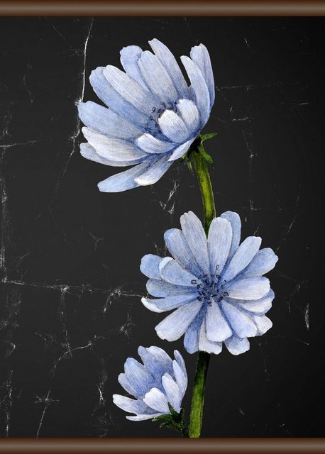 queence Leinwandbild »Blaue Blüte«, 50x70 cm-Bilder-Inspirationen