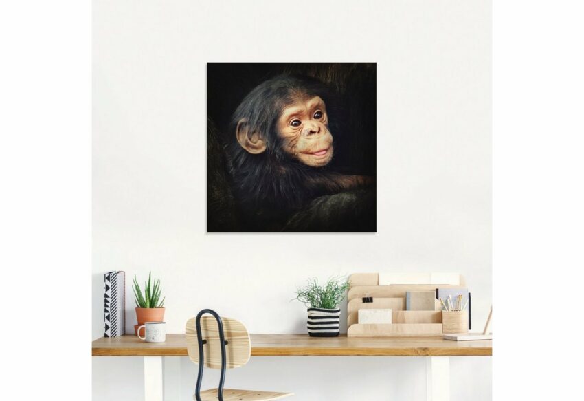 Artland Glasbild »Kleiner Schimpanse«, Wildtiere (1 Stück)-Bilder-Ideen für dein Zuhause von Home Trends