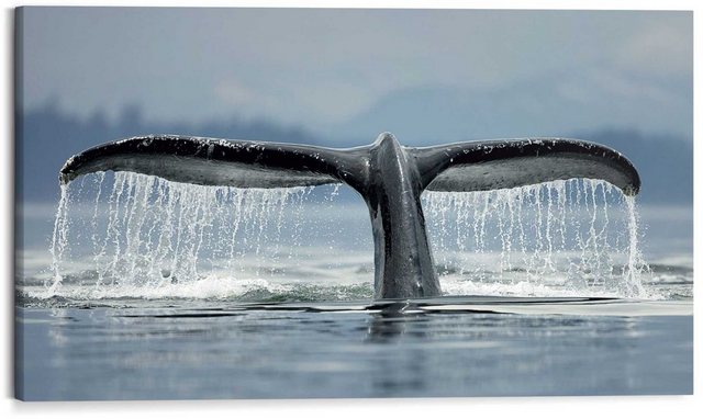 Reinders! Wandbild »Wandbild Walfisch Schweif Säugetier - Ozean - Kräftig - Mer«, Tiere (1 Stück)-Bilder-Inspirationen