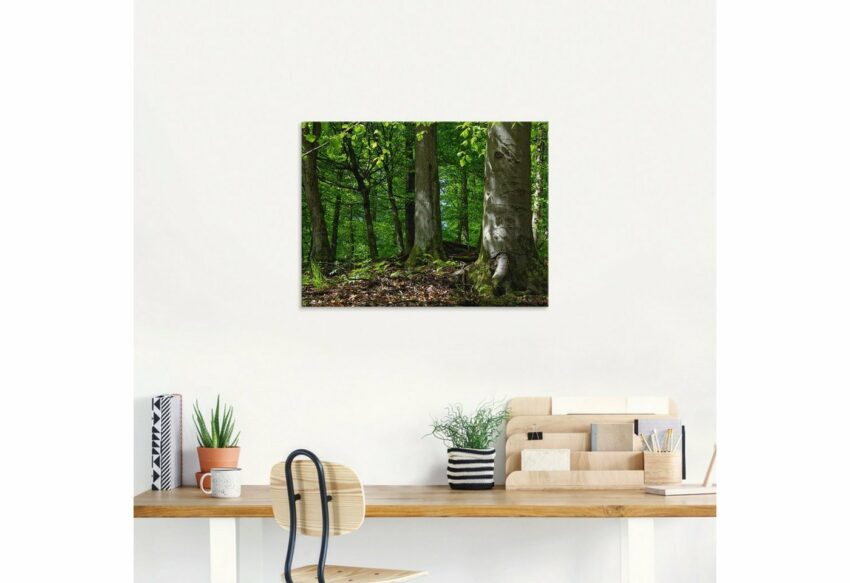 Artland Glasbild »Frühling im Buchenwald«, Wald (1 Stück)-Bilder-Ideen für dein Zuhause von Home Trends
