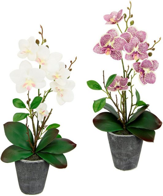 Kunstpflanze »Orchidee«, I.GE.A., Höhe 40 cm, Mit Blättern und Luftwurzeln, im Topf aus Keramik, 2er Set-Kunstpflanzen-Inspirationen