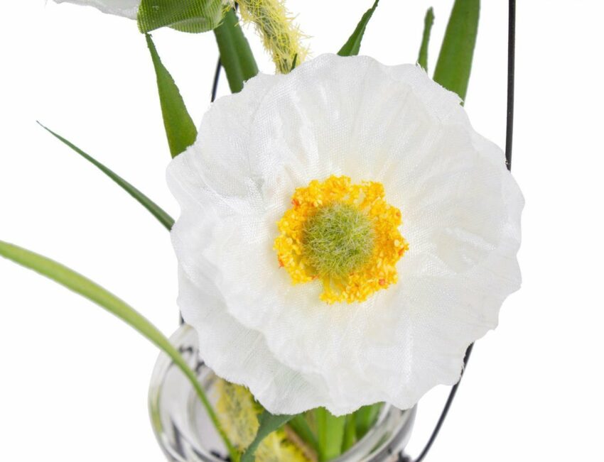Kunstblume »Mohnblume im Glas« Mohn, Botanic-Haus, Höhe 19 cm-Kunstpflanzen-Ideen für dein Zuhause von Home Trends