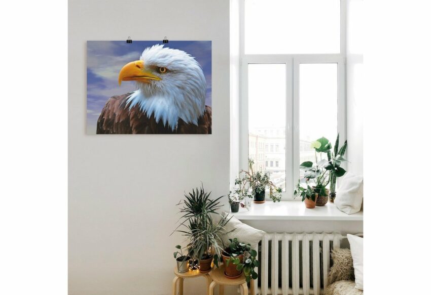 Artland Wandbild »Weißkopfseeadler«, Vögel (1 Stück), in vielen Größen & Produktarten -Leinwandbild, Poster, Wandaufkleber / Wandtattoo auch für Badezimmer geeignet-Bilder-Ideen für dein Zuhause von Home Trends
