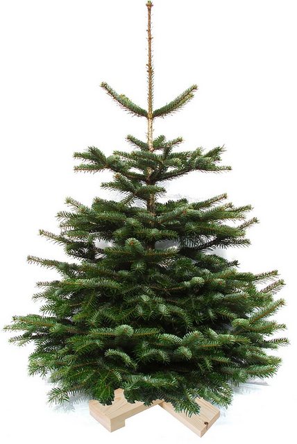 Weihnachtsbaumland Echter Weihnachtsbaum »Nordmanntanne auf Holzkreuz montiert«, Nordmanntanne, Höhe ca. 100 bis 120 cm-Weihnachtsbäume-Inspirationen