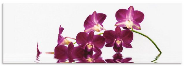 Artland Küchenrückwand »Phalaenopsis Orchidee«, (1-tlg), selbstklebend in vielen Größen - Spritzschutz Küche hinter Herd u. Spüle als Wandschutz vor Fett, Wasser u. Schmutz - Rückwand, Wandverkleidung aus Alu-Küchenrückwände-Inspirationen