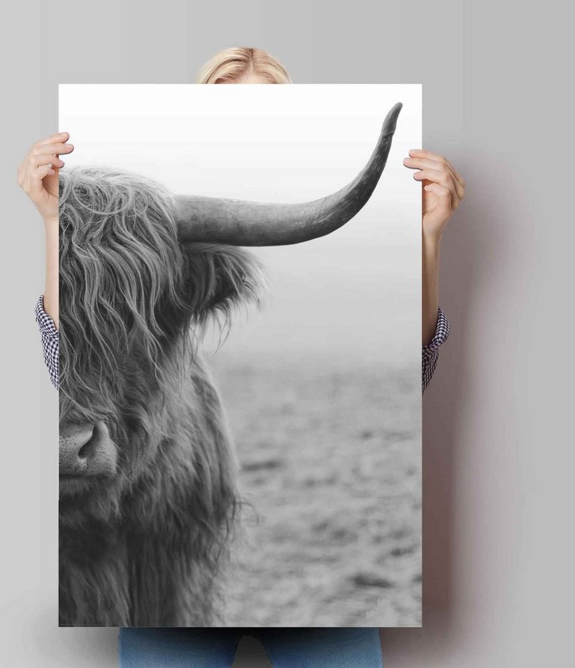 Reinders! Poster »Poster Highlander Bulle«, Kuh (1 Stück)-Bilder-Ideen für dein Zuhause von Home Trends