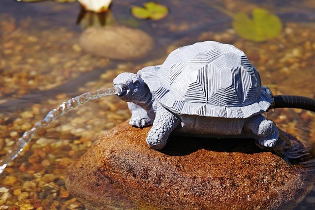 OASE Wasserspeier »Schildkröte«-Teichdekoration-Inspirationen
