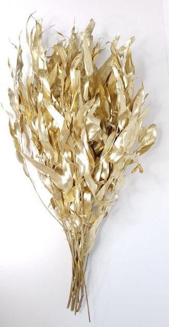 Trockenblume »The Golden Euca«, Everflowers, Höhe 50 cm-Kunstpflanzen-Inspirationen