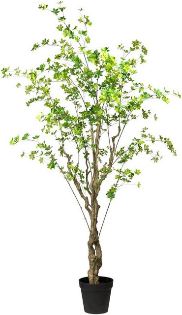 Kunstbaum »Louisiana-Baum« Louisiana-Baum, Creativ green, Höhe 240 cm-Kunstpflanzen-Inspirationen