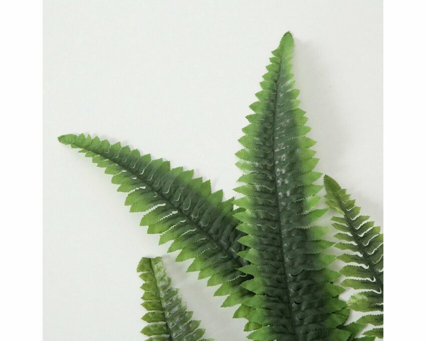 Kunstzweig »Dekozweig Farn«, BOLTZE, Höhe 109 cm-Kunstpflanzen-Ideen für dein Zuhause von Home Trends