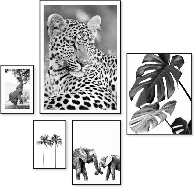 Reinders! Wandbild »Wildtiere Afrika - Botanisch - Natur - Monstera«, (5 Stück)-Bilder-Inspirationen