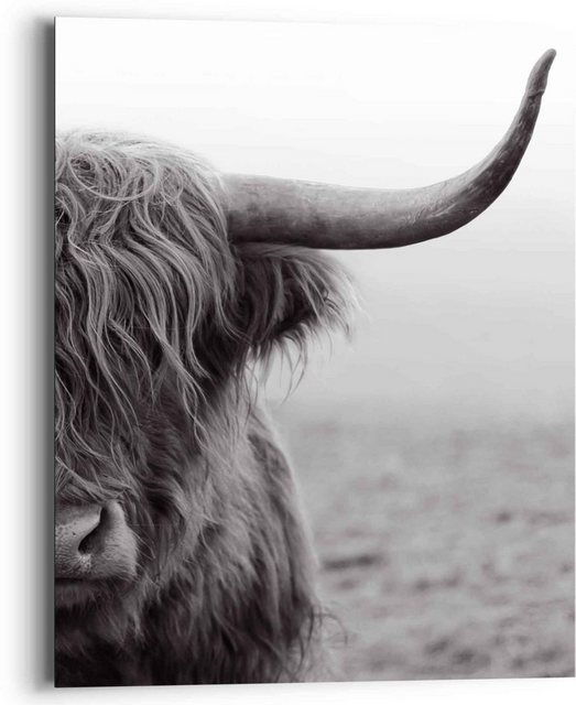Reinders! Wandbild »Wandbild Highlander Bulle Tiermotiv - Nahaufnahme - Hochlandrind«, Kuh (1 Stück)-Bilder-Inspirationen