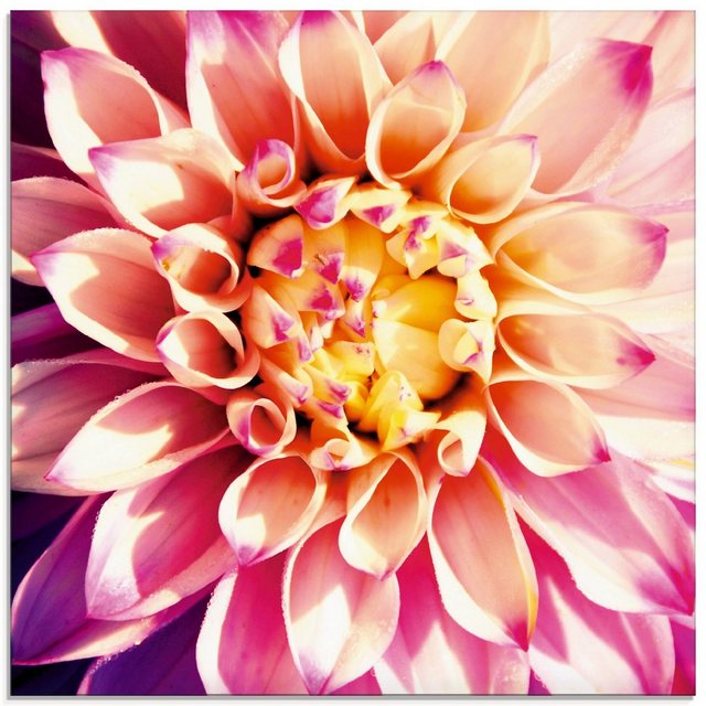 Artland Glasbild »Dahlie«, Blumen (1 Stück)-Bilder-Inspirationen