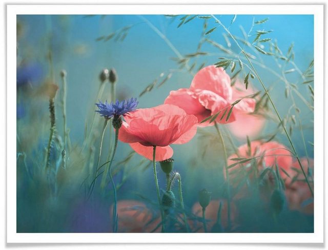 Wall-Art Poster »Wildblumen Aquamarin«, Blumen (1 Stück)-Bilder-Inspirationen