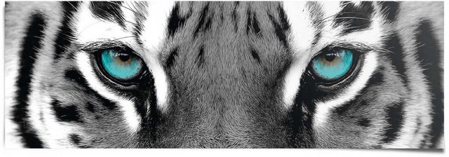 Reinders! Poster »Sibirischer Tiger«-Bilder-Inspirationen