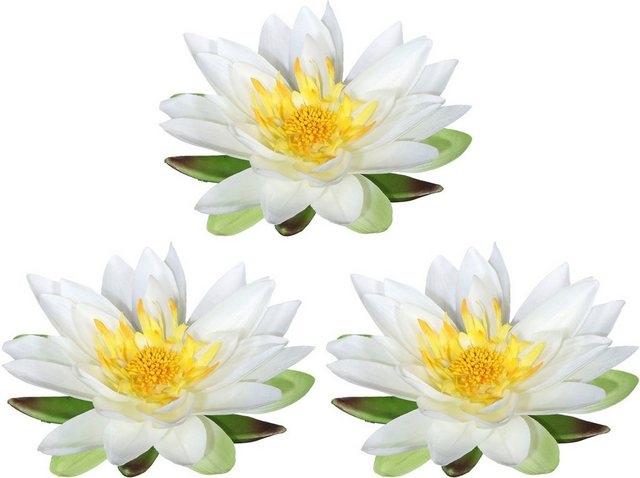 Kunstblume »Lotusblüte«, Creativ green, Höhe 5 cm, im 3er Set-Kunstpflanzen-Inspirationen