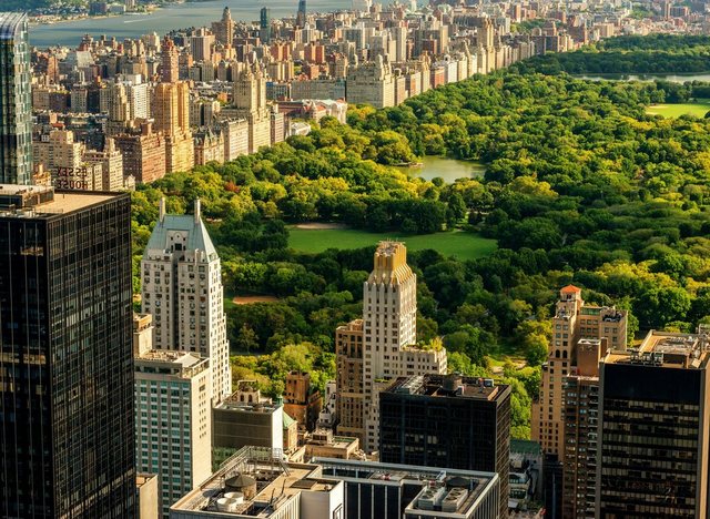 Papermoon Fototapete »Central Park Manhattan«, glatt-Tapeten-Inspirationen