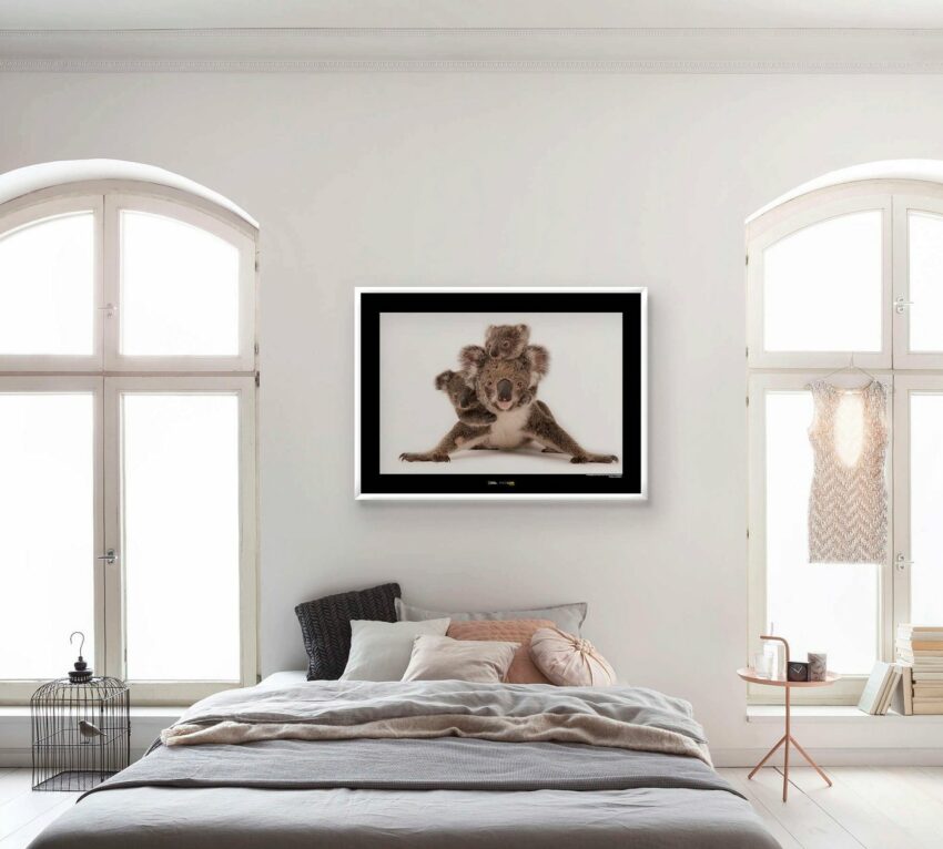 Komar Poster »Koala«, Tiere, Höhe: 40cm-Bilder-Ideen für dein Zuhause von Home Trends