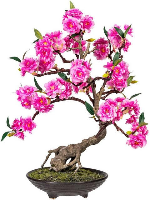 Kunstbonsai »Margarete« Bonsai, DELAVITA, Höhe 50 cm, Kunstpflanze, im Topf-Kunstpflanzen-Inspirationen