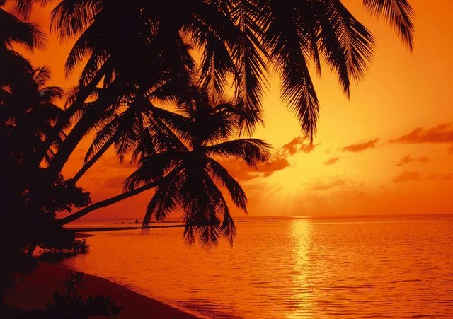 Papermoon Fototapete »Tropic Sunset«, glatt-Tapeten-Inspirationen