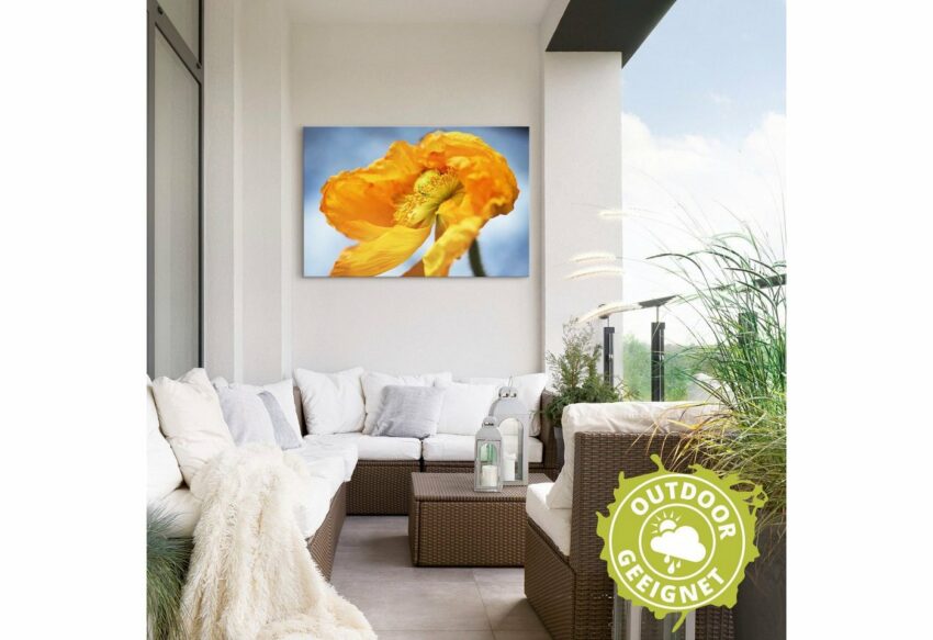 Artland Wandbild »Gelbe Mohnblüte«, Blumenbilder (1 Stück), in vielen Größen & Produktarten - Alubild / Outdoorbild für den Außenbereich, Leinwandbild, Poster, Wandaufkleber / Wandtattoo auch für Badezimmer geeignet-Bilder-Ideen für dein Zuhause von Home Trends