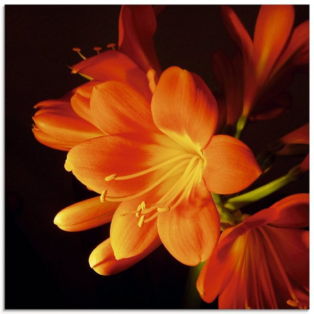 Artland Glasbild »Clivie in leuchtendem Orange«, Blumen (1 Stück)-Bilder-Inspirationen