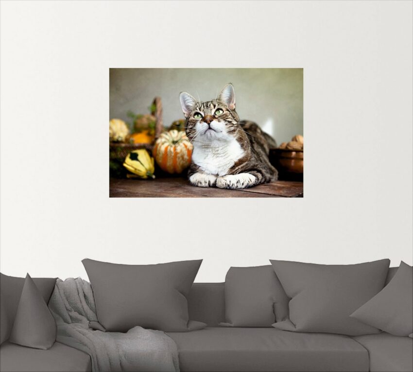 Artland Wandbild »Katze und Herbstdeko«, Haustiere (1 Stück)-Bilder-Ideen für dein Zuhause von Home Trends