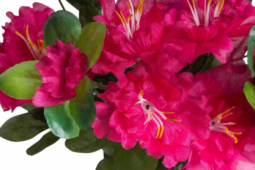 Kunstblume »Azalee im Topf« Azalee, Botanic-Haus, Höhe 27 cm-Kunstpflanzen-Ideen für dein Zuhause von Home Trends